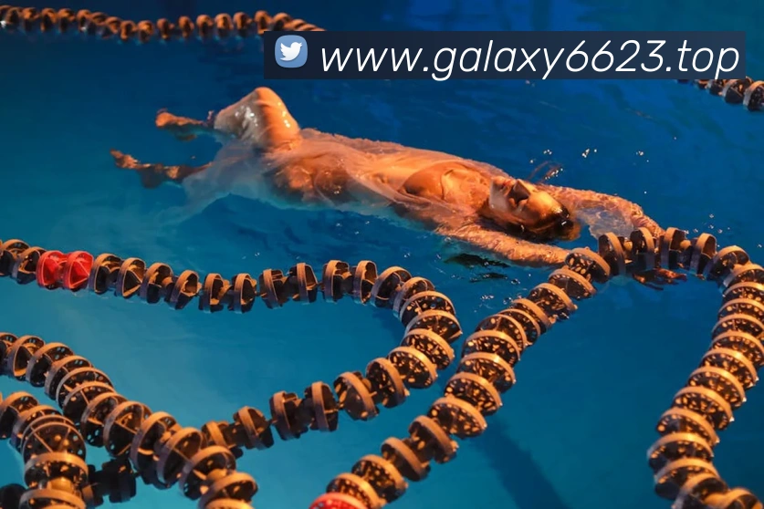 银河galaxy娱乐官网全站App